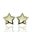 Foto de 51-1651206 - PENDIENTES ESTRELLA NÁCAR CIRCONITA 8MM 18K