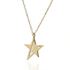 Foto de 71-10974G - GARGANTILLA ESTRELLA BRILLO CALADA 15MM 45CM (ANILLA A 5CM) 18K