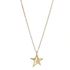 Foto de 71-10974G - GARGANTILLA ESTRELLA BRILLO CALADA 15MM 45CM (ANILLA A 5CM) 18K