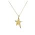 Foto de 71-10974G - GARGANTILLA ESTRELLA BRILLO CALADA 15MM 45CM (ANILLA A 5CM) 18K