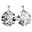Foto de 39-0005P - *OFERTA* PENDIENTES PLATA FLORES 21MM