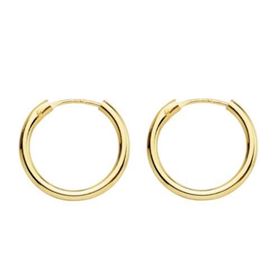 Foto de 42-15X20 - CRIOLLAS TUBO 1.5X20MM 18K