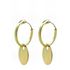 Foto de 00-1571 - CRIOLLAS DISCO 0.25X10MM 1X12MM 20MM 18K