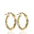 Foto de 04-439-20 - CRIOLLAS RETORCIDAS BRILLO 3X20MM EXTERIOR 18K