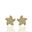 Mostrar los datos de 51-200321006 - PENDIENTES ESTRELLA DE MAR CIRCONITA 7MM 18K Foto de 51-200321006 - PENDIENTES ESTRELLA DE MAR CIRCONITA 7MM 18K