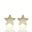 Foto de 99-PT818 - PENDIENTES ESTRELLA CIRCONITA MATE-BRILLO 5.5MM 18K