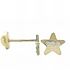 Foto de 99-PT818 - PENDIENTES ESTRELLA CIRCONITA MATE-BRILLO 5.5MM 18K