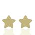Foto de 04-453 - PENDIENTES ESTRELLA BRILLO 9MM 18K