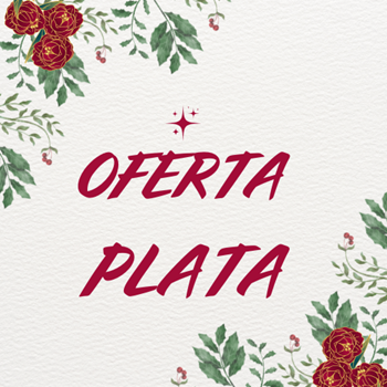 Cuadro para la categoría OFERTA PLATA