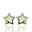 Foto de 51-1651206 - PENDIENTES ESTRELLA NÁCAR CIRCONITA 8MM 18K
