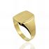 Foto de 28-361 - SELLO RECTANGULAR 15X12MM (4,37gr) 18K 