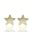 Foto de 99-PT789 - PENDIENTES ESTRELLA CIRCONITA 5.5MM 18K