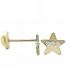 Foto de 99-PT818 - PENDIENTES ESTRELLA CIRCONITA MATE-BRILLO 5.5MM 18K