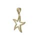 Foto de 10-401-1195 - COLGANTE ESTRELLA DE MAR CIRCONITA 18MM 18K