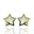 Foto de 51-1651206 - PENDIENTES ESTRELLA NÁCAR CIRCONITA 8MM 18K